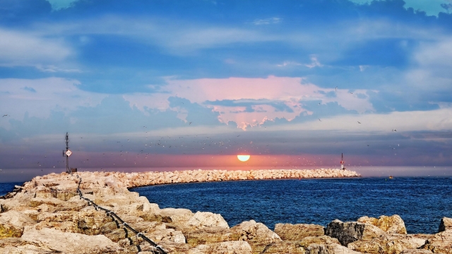 平博公司:天津哪里有乒乓球台