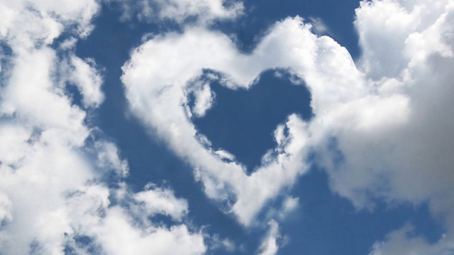 平博公司:乒乓球台脏了怎么清洗