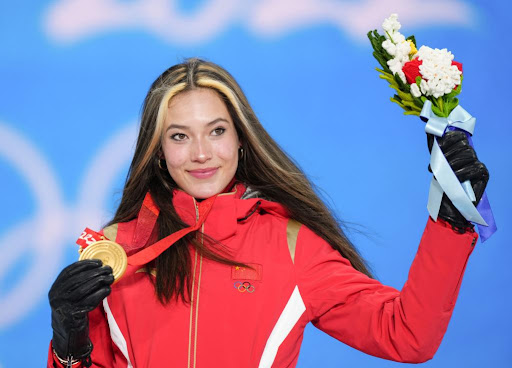 平博公司:练胸器材怎么调节